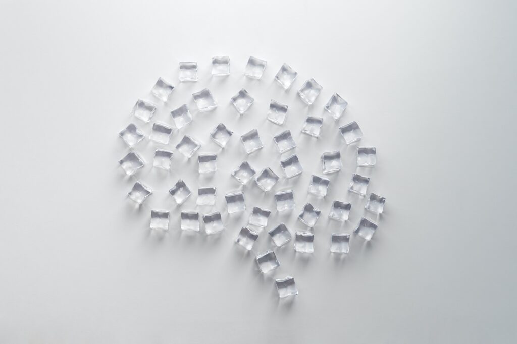 Creative concept of the frozen brain.