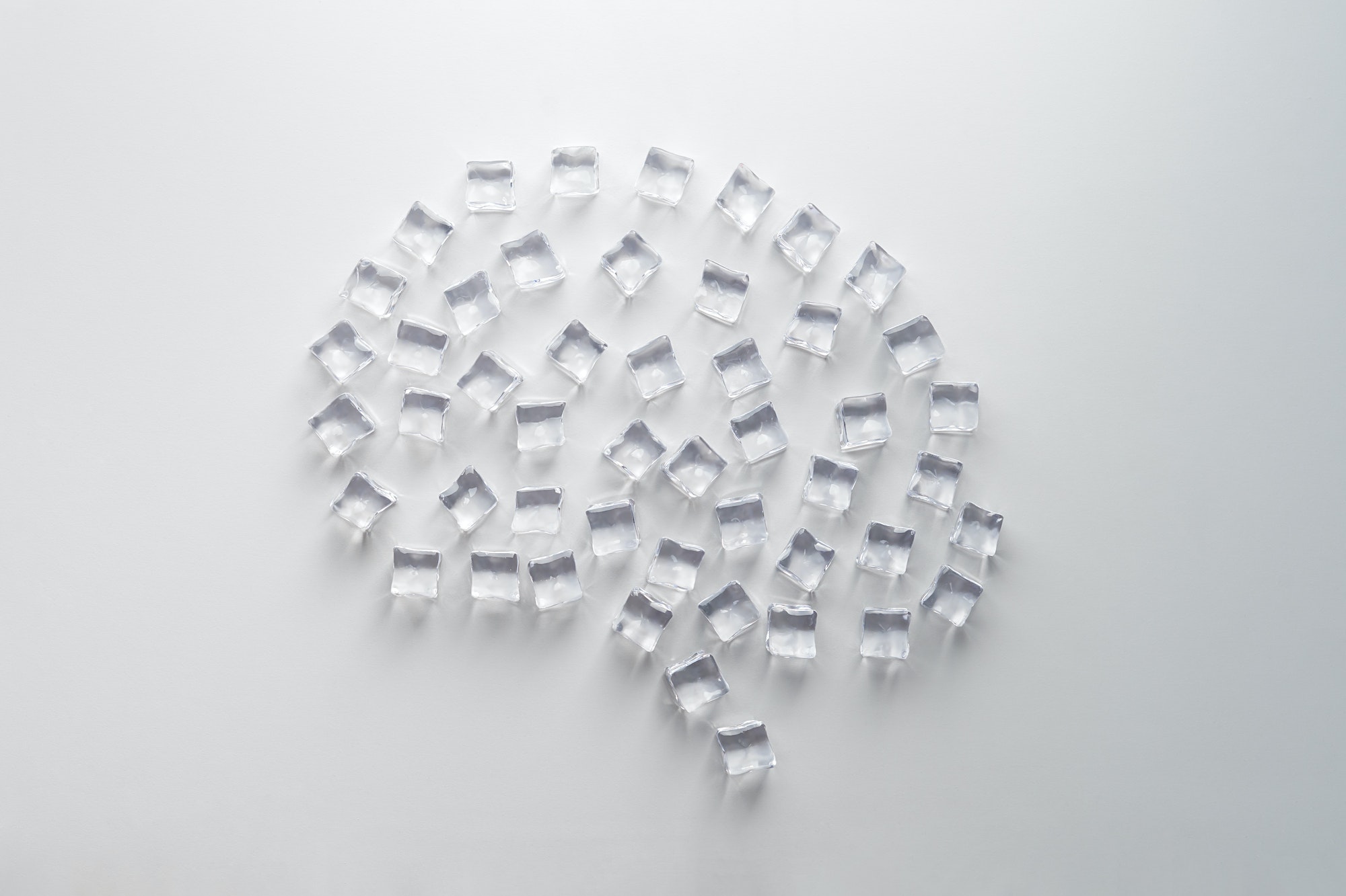 Creative concept of the frozen brain.