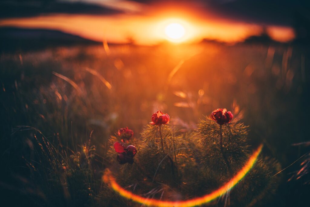 nature